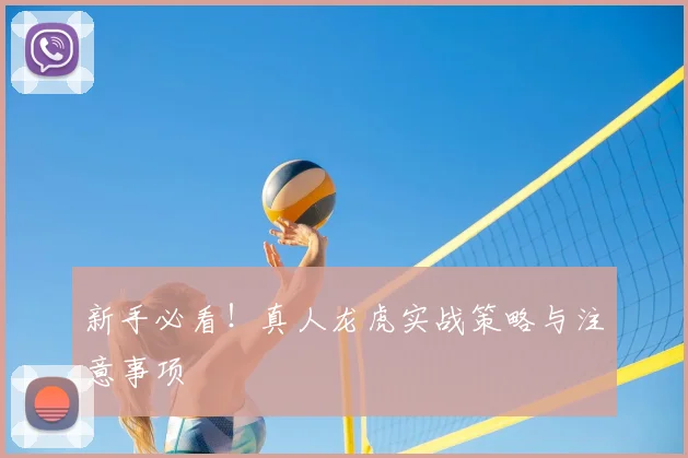 新手必看！真人龙虎实战策略与注意事项