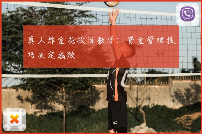真人炸金花投注教学：资金管理技巧决定成败